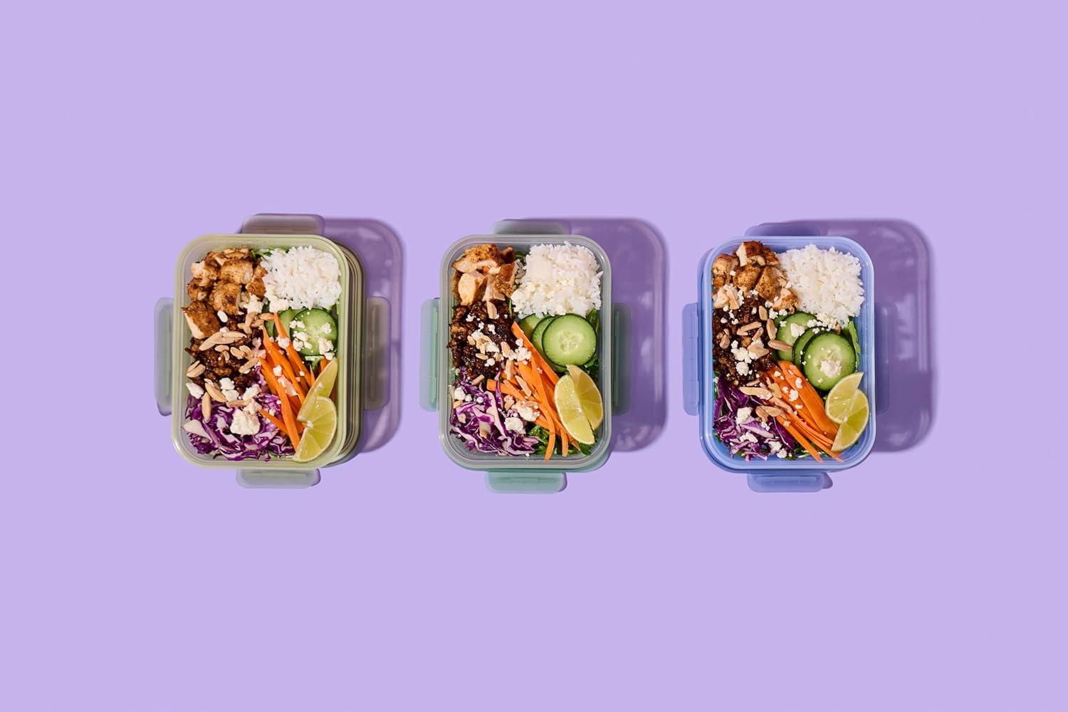 imageEllo Snap amp Nest 10Piece 45 Cup Plastic Meal Prep Set Reusable Food Containers for Healthy Eating Freezer Dishwasher Safe Cactus BloomsCactus Blooms